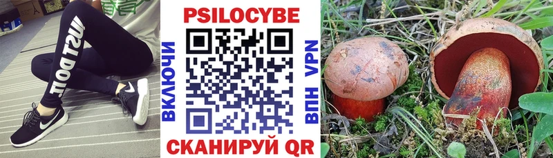 что такое   shop телеграм  Галлюциногенные грибы Psilocybine cubensis  Данков 
