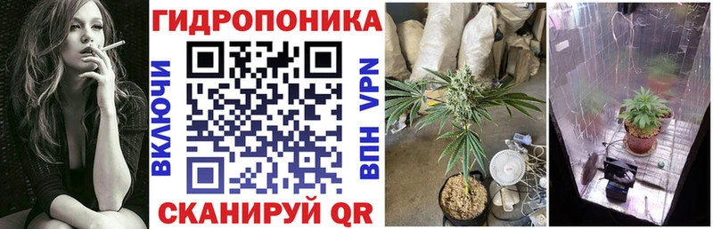 даркнет сайт  Данков  Конопля SATIVA & INDICA 